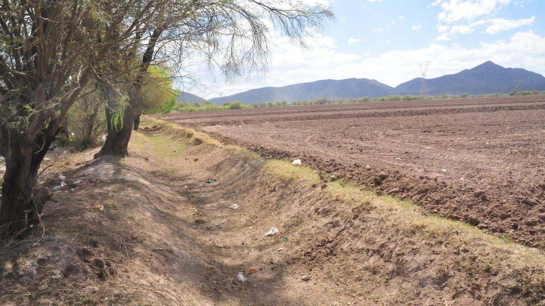 Ciclo Agrícola